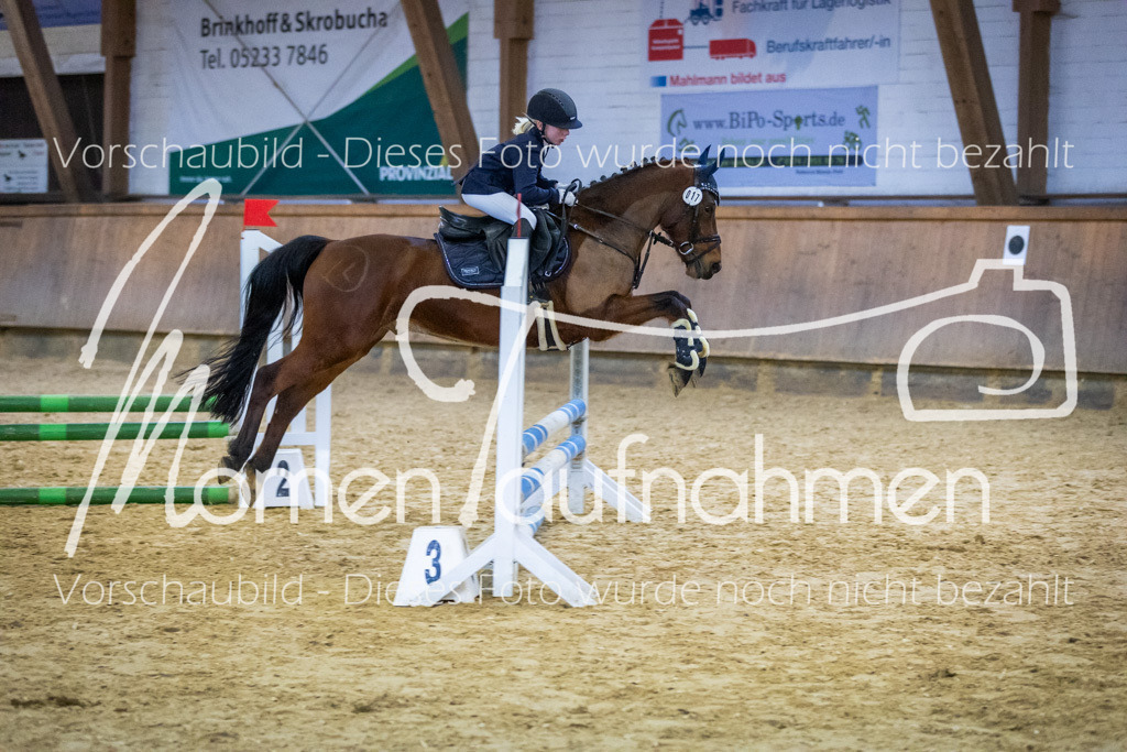 Sth-WBO25-Spr65cm-072 | MomenTaufnahmen Pferdesportfotos