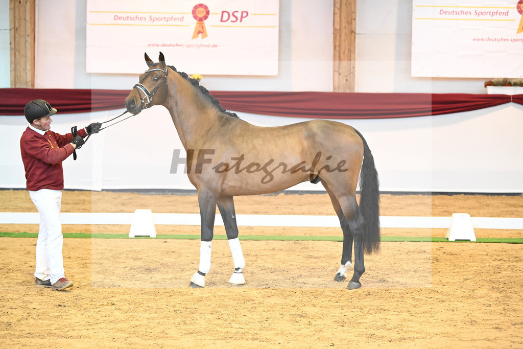 Kat-Nr. 64 v. Vitalis_Bock_66222162 | hf-fotografie - Realisiert mit Pictrs.com