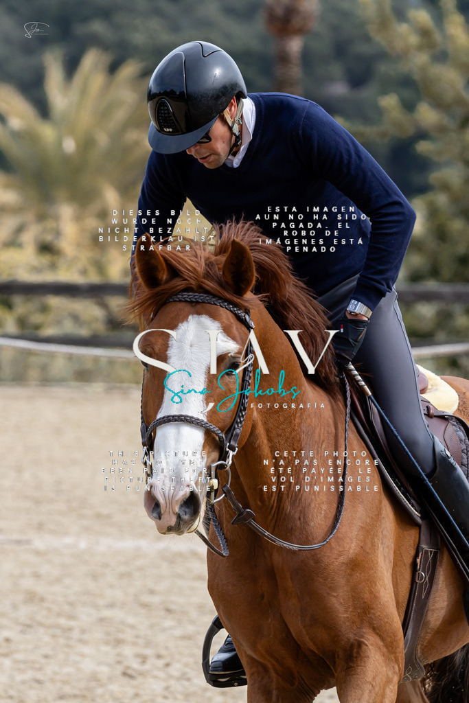 IMG_3511 | s-jay-photography - Realisiert mit Pictrs.com