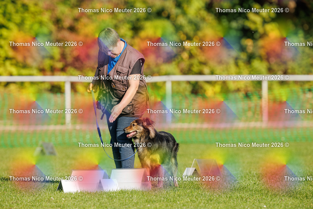 Thomas_Nico_Meuter(C)_04. Oktober 2026_223A1292 | Bild von Thomas Nico Meuter - Realisiert mit Pictrs.com