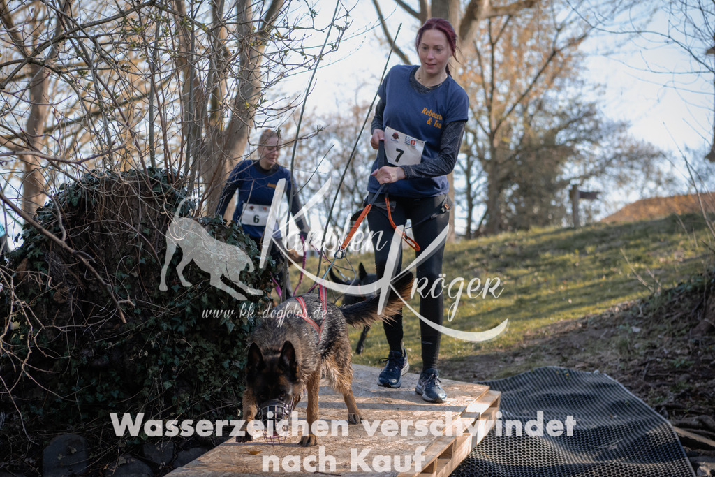 0813_ZZ90140 | kk-dogfotos