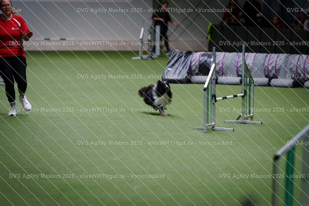 allesWIRTHgut_Tierfotografie-DVG_Agility_Masters_2026-11_40-7R506712 | Professionelle Tierfotografie in Mönchengladbach von Daniel Wirth (allesWIRTHgut). Liebevolle & natürliche Bilder von Hunden & Katzen für unvergessliche Erinnerungen.