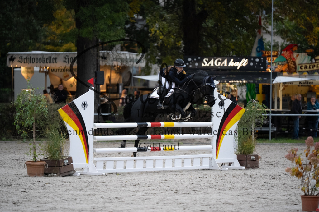 A7V08845 | Pferdefotograf