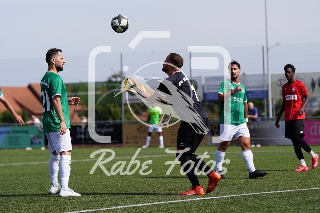 SON07537 | rabefotos