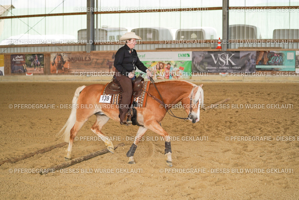 DSC02885 | Pferdegrafie