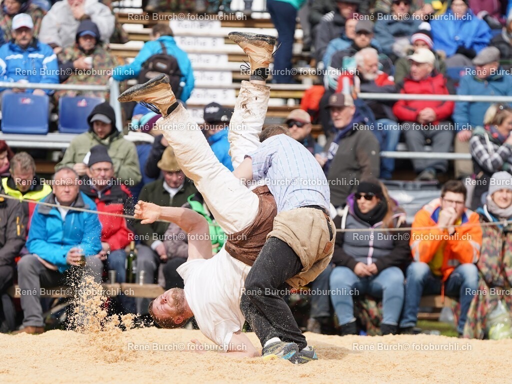 DSC06832 (2) | René Burch leidenschaftlicher Fotograf aus Kerns in Obwalden.  Hier finden sie Sport, Landschaft und Natur Fotografie.
 - Realisiert mit Pictrs.com