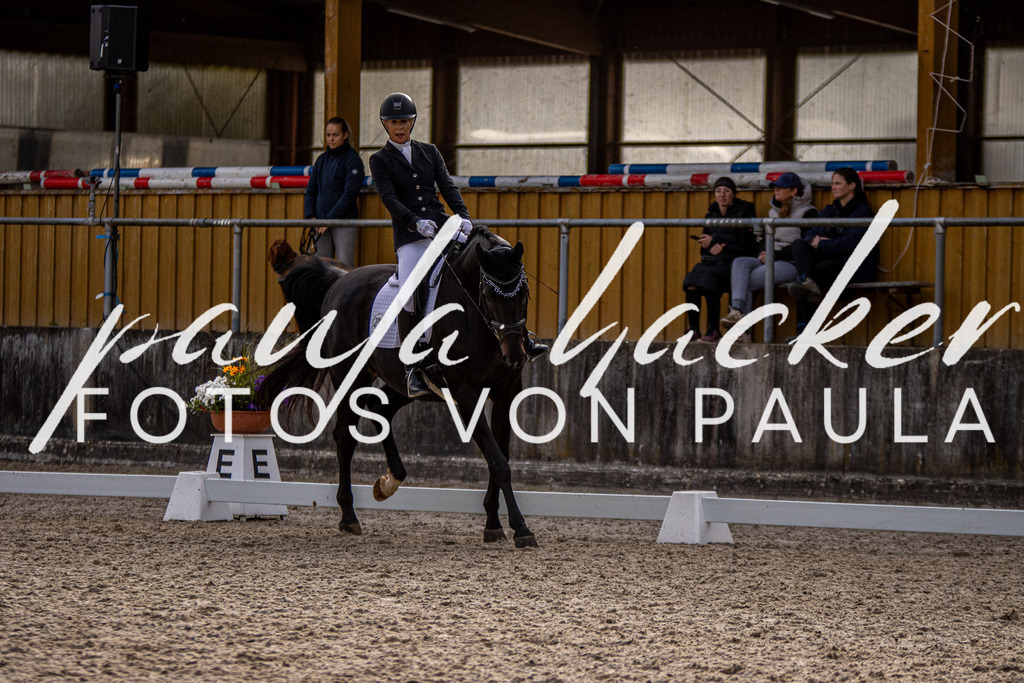 IMG_3248 | Erleben Sie dynamische Sport- und emotionale Tierfotografie in Süddeutschland mit Fotos von Paula. Spezialisiert auf Pferde- und Hundefotografie sowie Sportevents. Kontaktieren Sie mich für einzigartige und ausdrucksstarke Bilder Ihrer besonderen Momente.