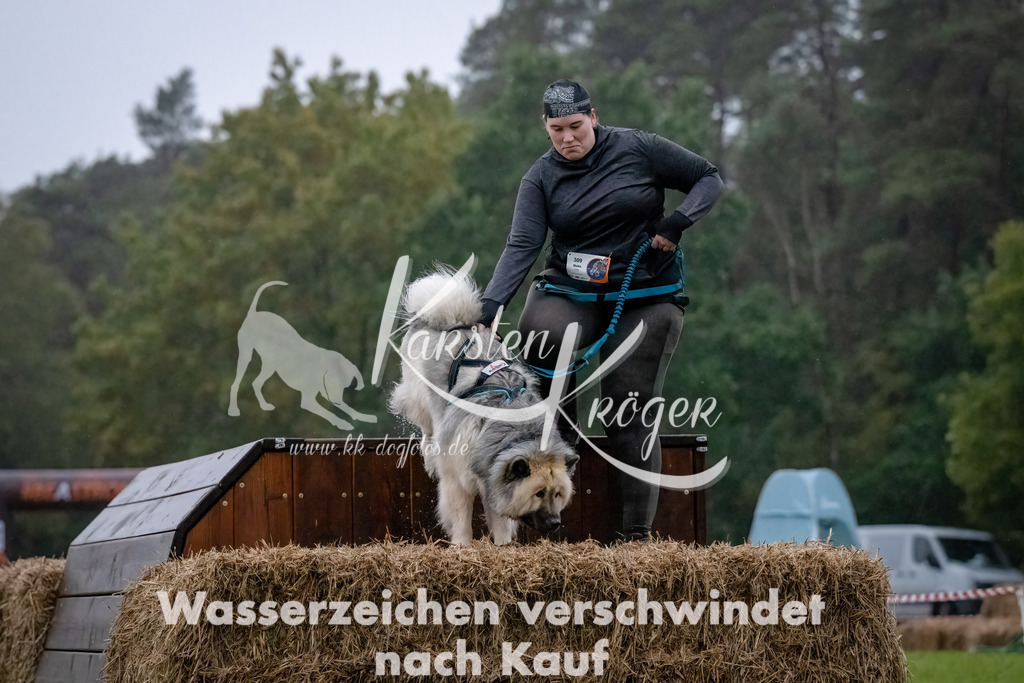 0816-_ZZ90818-Bearbeitet-Bearbeitet | kk-dogfotos