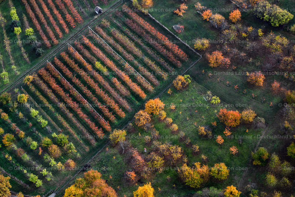 3808227 | Herbstliche Bäume bei Rödlas