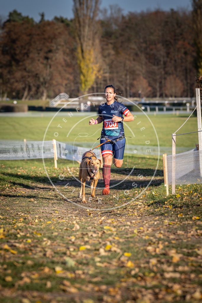 CaniXpix_DV3A1488 | Hundefotografie, Tierfotograf, Pfotenfotografie, Fotoshooting Hund, Hunde Portrait, Hundesport, Hundeportraits, Heideshooting, Hunde, Sportfotograf, Hundefotograf, Turnierhundsport, THS,  - Realisiert mit Pictrs.com