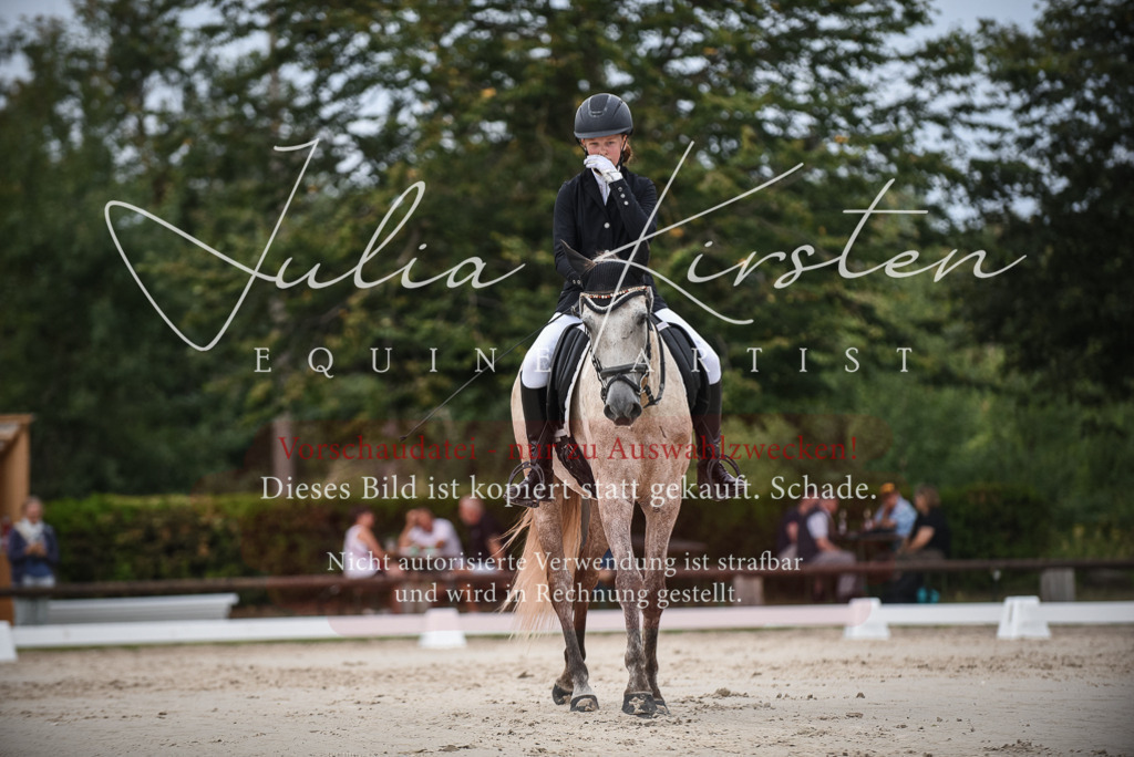 DSC_8236 | Pferde- und Turnierfotografie in Westsachsen. Pferdeportraits, Auftragszeichnungen und intuitive Kunst.