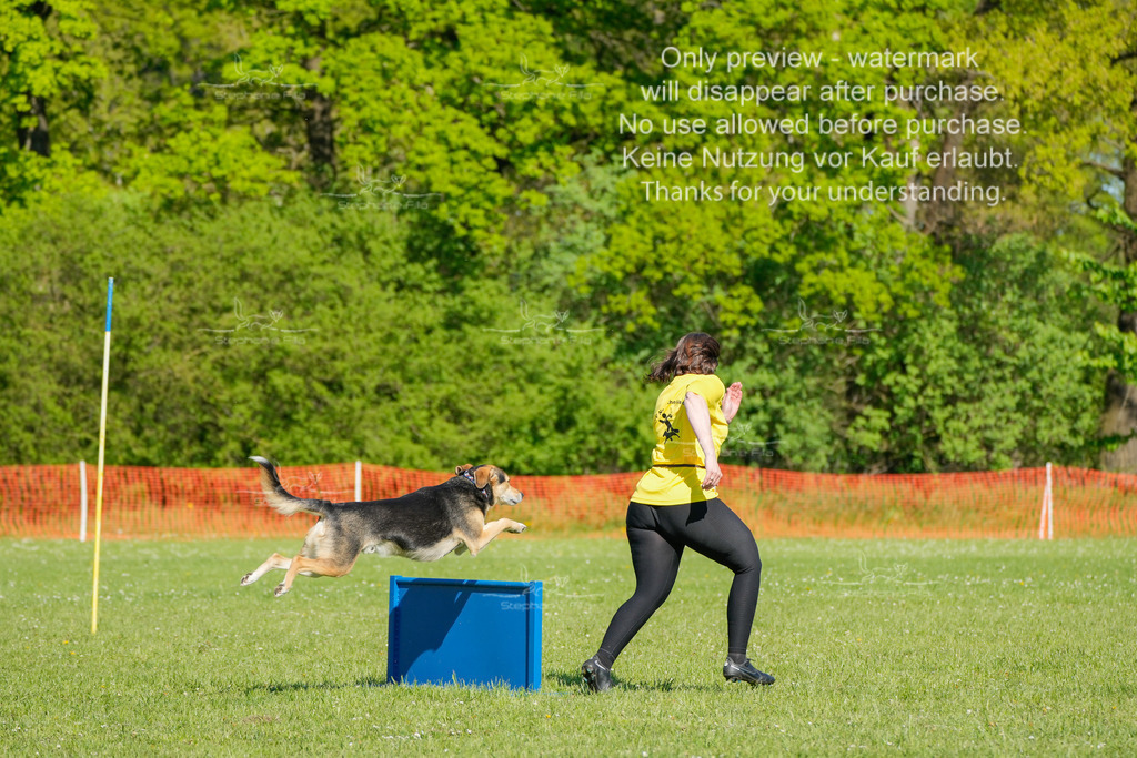 Sa_CSC-281 | stephaniefillaphotographie - Realisiert mit Pictrs.com