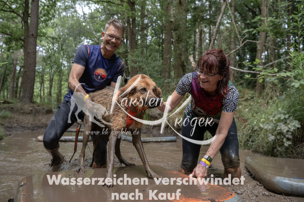 1335_ZZ94841 | kk-dogfotos