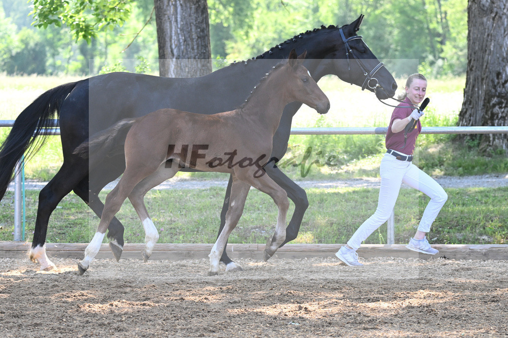 Kat-Nr. 4 HF Vitalos_Schwarz_14230110 | hf-fotografie - Realisiert mit Pictrs.com