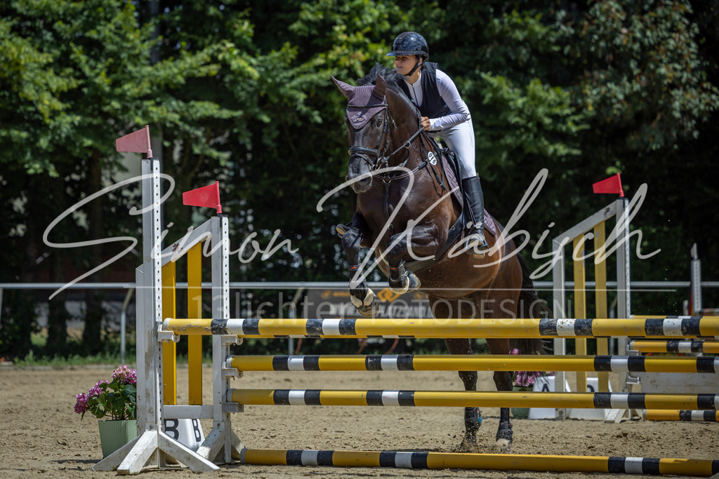 20260704-_3LI9516 | Tierfotografie Pferde, Hunde, Katzen, Haustiere.
Turnierfotografie Reitturniere, Reiten, Springreiten, Dressur in Hanau, dem Main-Kinzig-Kreis und dem Rhein-Main- Gebiet um Frankfurt