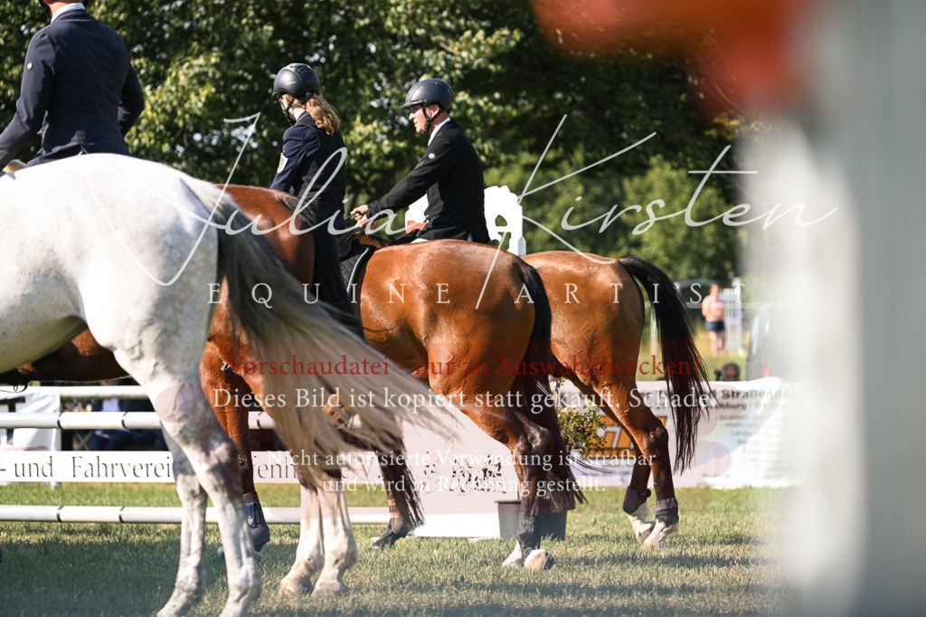 DSC_1557 | Pferde- und Turnierfotografie in Westsachsen. Pferdeportraits, Auftragszeichnungen und intuitive Kunst.