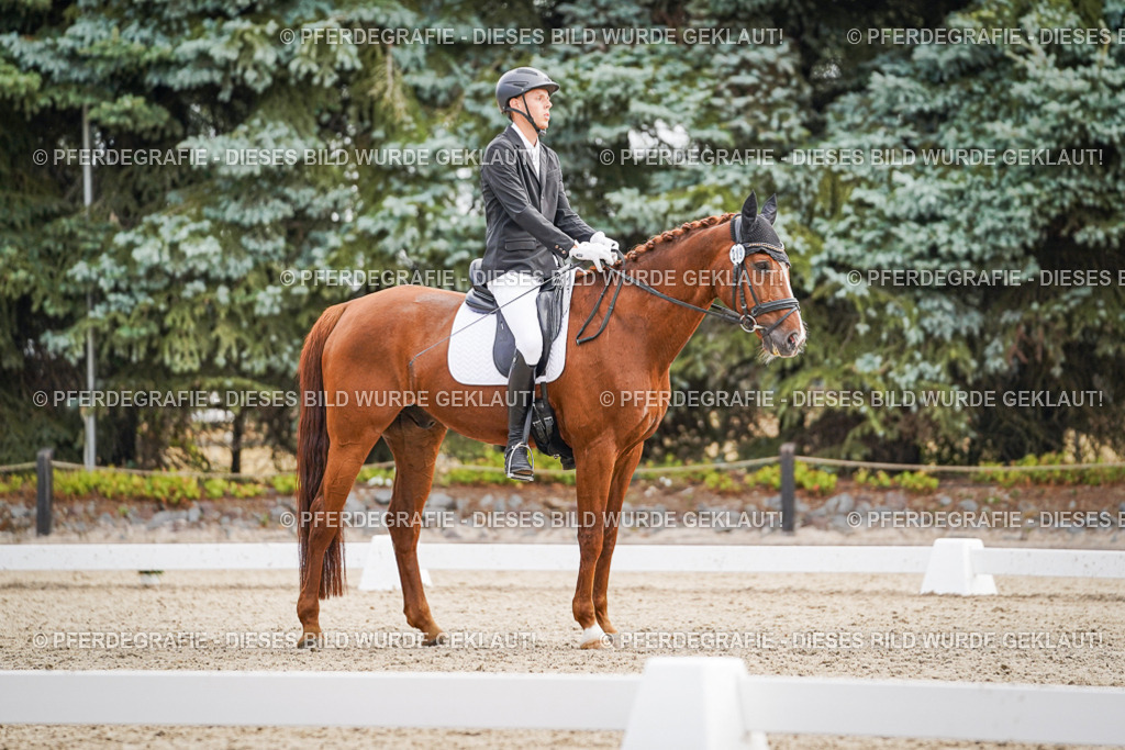 DSC01541 | Pferdegrafie