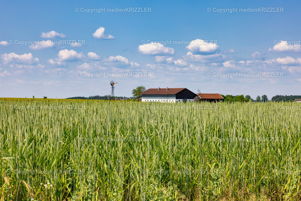 _J3A1219 | medienkrizzler - Realisiert mit Pictrs.com