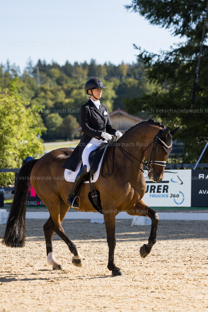 FHC2026_P07_150_17332 | working equitationturnier fotograf videograf stoibphotography marixx film working equitation deutschland reitsport turnierfotografie eventfotografie equestrian events