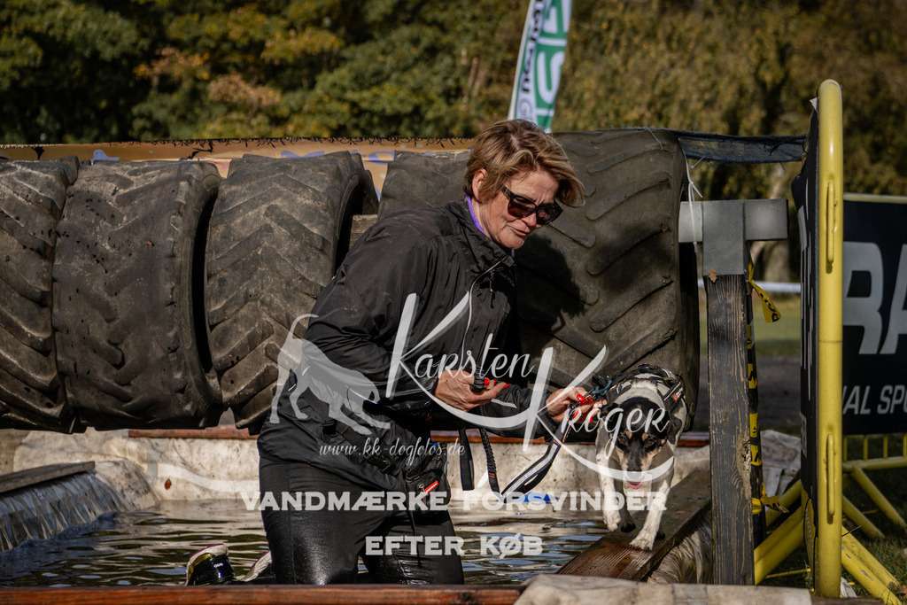 1331_ZZ92763 | kk-dogfotos