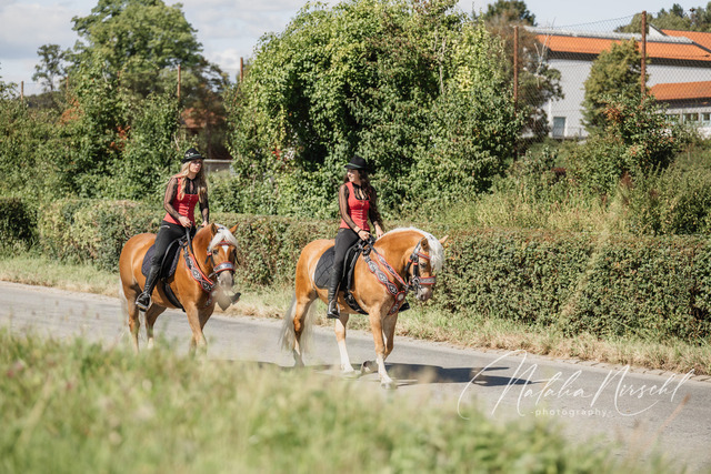 7V6A2203 | natalia-nirschl-photography