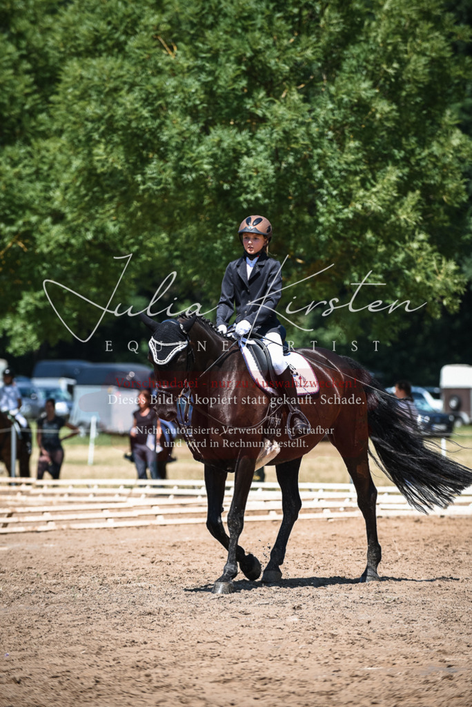 DSC_2821 | Pferde- und Turnierfotografie in Westsachsen. Pferdeportraits, Auftragszeichnungen und intuitive Kunst.
