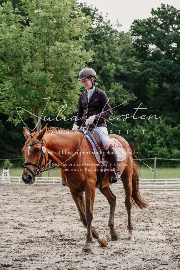 DSC_9731 | Pferde- und Turnierfotografie in Westsachsen. Pferdeportraits, Auftragszeichnungen und intuitive Kunst.