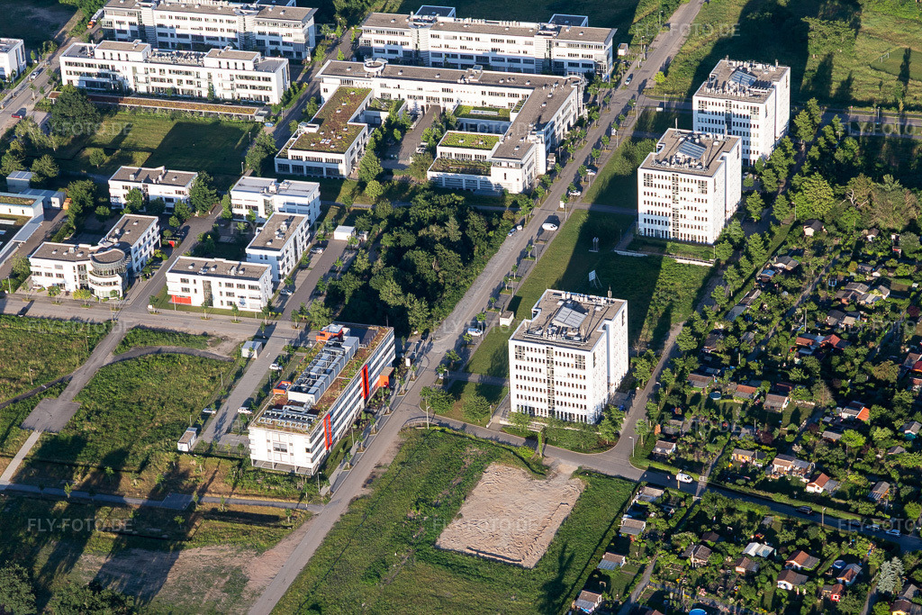 Luftbild: Technologiepark im Ortsteil Rintheim in Karlsruhe im Bundesland Baden-Württemberg in Deutschland. Foto: IMG_115187.jpg vom 13.06.2019 durch Werner Riehm/FLY-FOTO.de