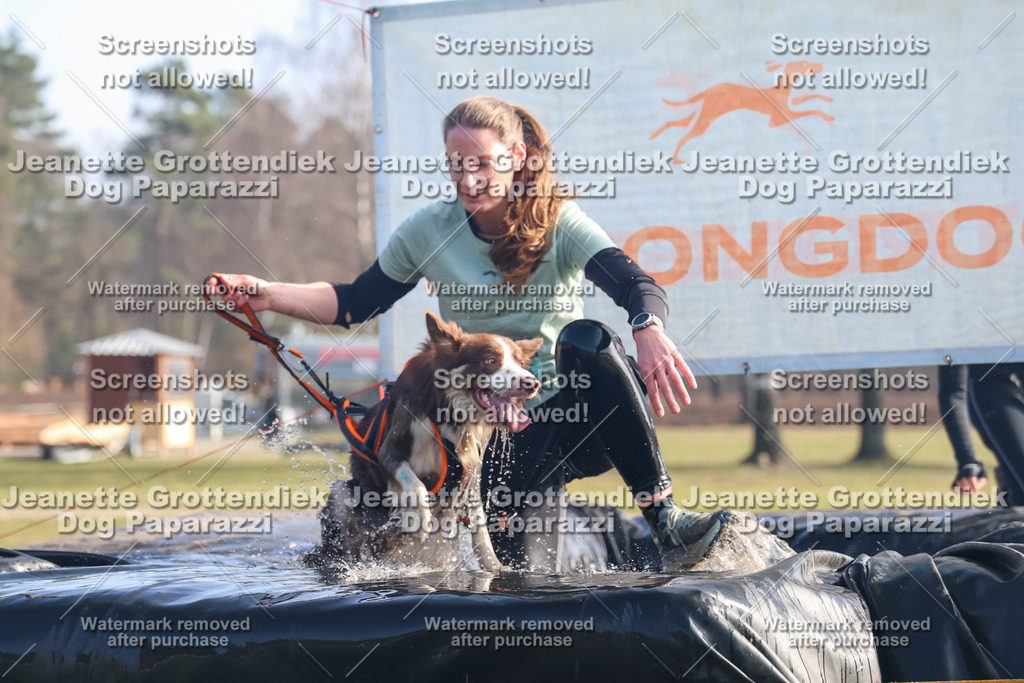Dog Paparazzi - Strongdog North Mrz26-819 | Dog Paparazzi Jeanette Grottendiek Fotografie & Videografie - Realisiert mit Pictrs.com