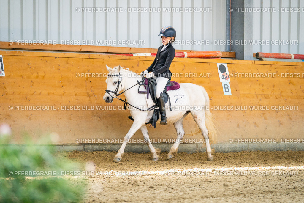 DSC03286 | Pferdegrafie