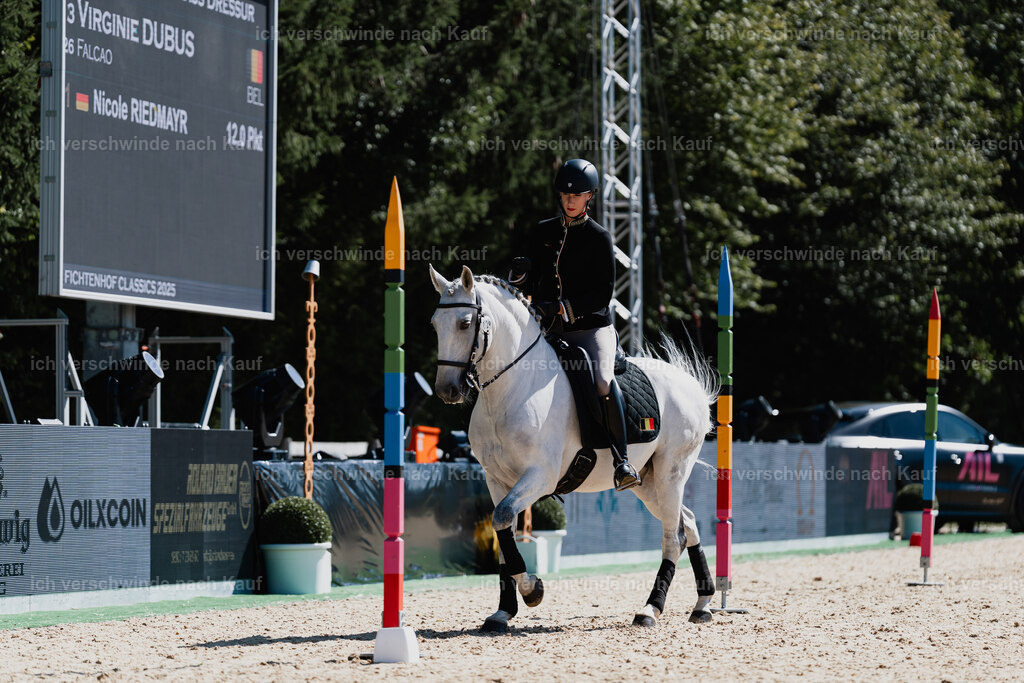 Virginie12FHC2025-08565 | working equitationturnier fotograf videograf stoibphotography marixx film working equitation deutschland reitsport turnierfotografie eventfotografie equestrian events