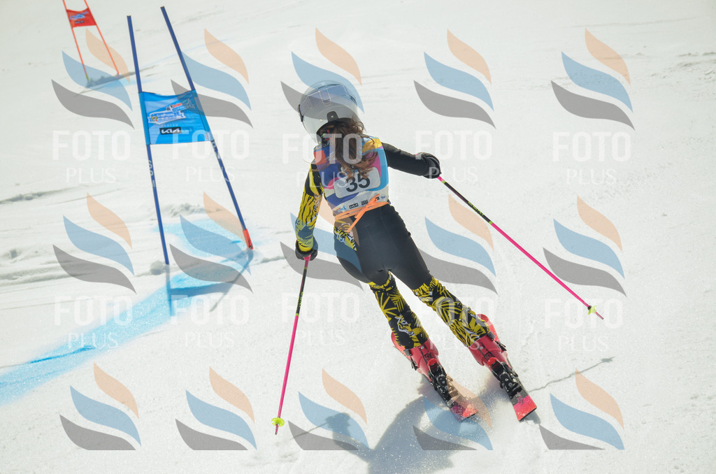 _ELE4954 | holidayphoto