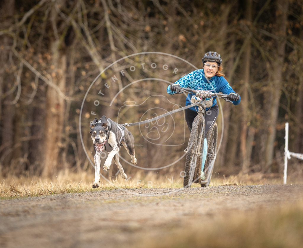 DV3A3387 | Hundefotografie, Tierfotograf, Pfotenfotografie, Fotoshooting Hund, Hunde Portrait, Hundesport, Hundeportraits, Heideshooting, Hunde, Sportfotograf, Hundefotograf, Turnierhundsport, THS,  - Realisiert mit Pictrs.com