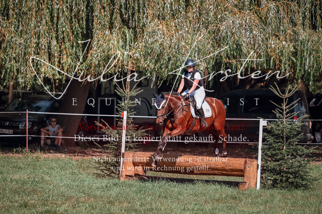 DSC_2638 | Pferde- und Turnierfotografie in Westsachsen. Pferdeportraits, Auftragszeichnungen und intuitive Kunst.