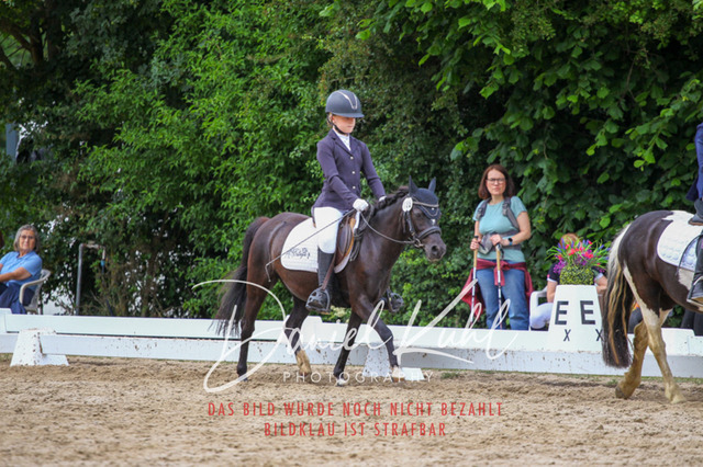 DKP46286 | Turnierfotos kaufen im Webshop von Daniel Kuhl Photography – entdecke professionelle Reitsportfotos aus Turnieren & Events. Hochwertige Turnierbilder online bestellen & sichern. Jetzt Fotos von Reitsportturnieren kaufen!