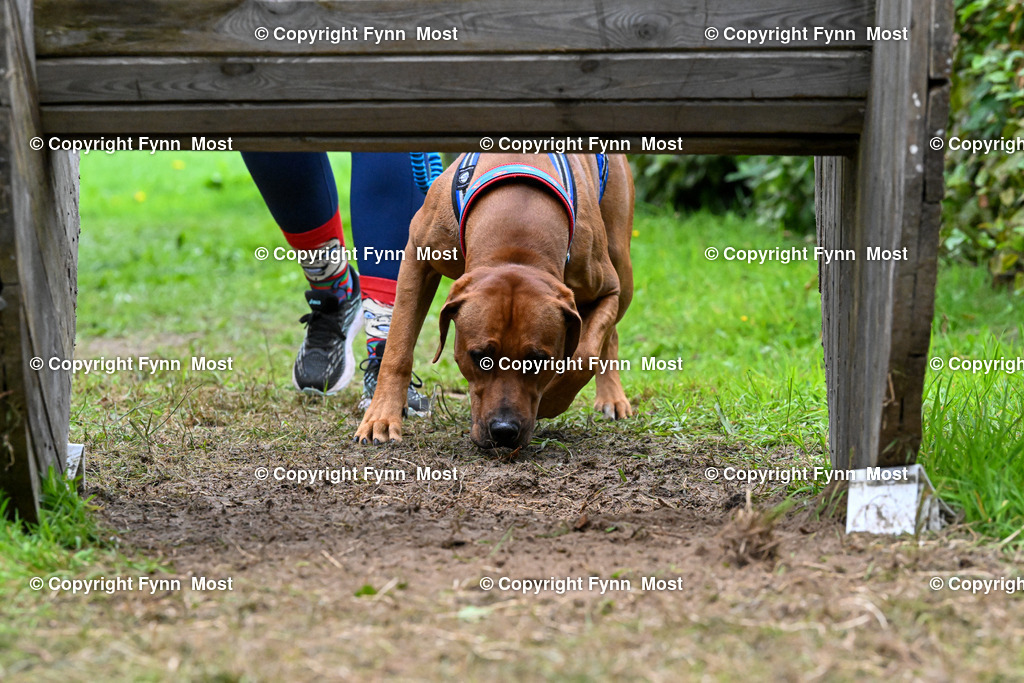 DSC_1031 | Hallo und herzlich Willkommen auf meiner Shop-Seite Fynn Most.

Ich wünsche Dir viel Spaß beim stöbern durch die Bilder, wenn Du Fragen hast oder Bilder vermisst, kannst du mir gerne eine Nachricht schreiben. - Realisiert mit Pictrs.com