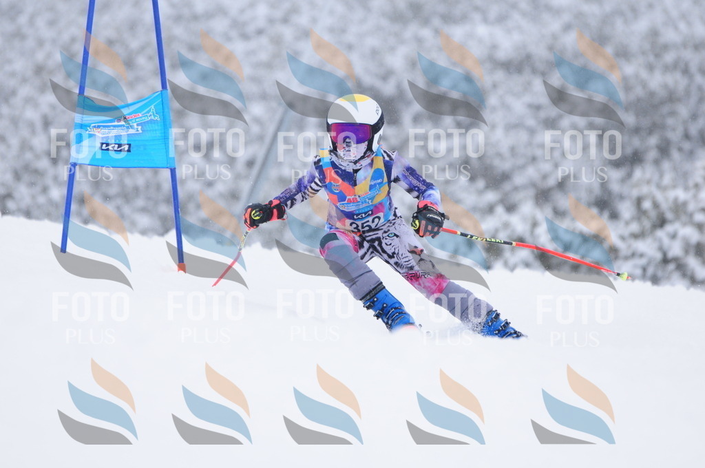 C3757 | holidayphoto