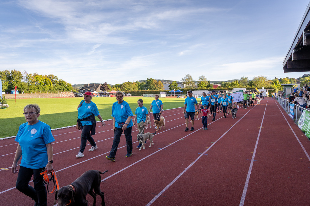 Pfotenfotografie_DV3A4215-2 | Hundefotografie, Tierfotograf, Pfotenfotografie, Fotoshooting Hund, Hunde Portrait, Hundesport, Hundeportraits, Heideshooting, Hunde, Sportfotograf, Hundefotograf, Turnierhundsport, THS,  - Realisiert mit Pictrs.com
