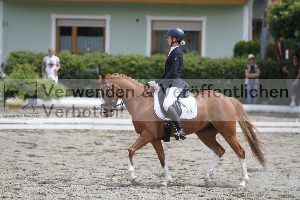 _MG_8830 | equestrian-live-com
