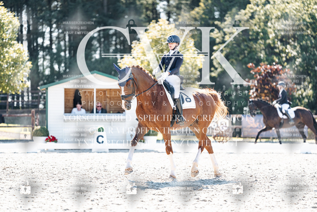CK905495 | Turnierfotografie Pferdefotografie Trier Rheinland-Pfalz Pferdesport Reitsport Tierfotografie Sportfotografie Pferdevideo Pferdevideografie Equestrianvideography equestrianphotography  - Realisiert mit Pictrs.com