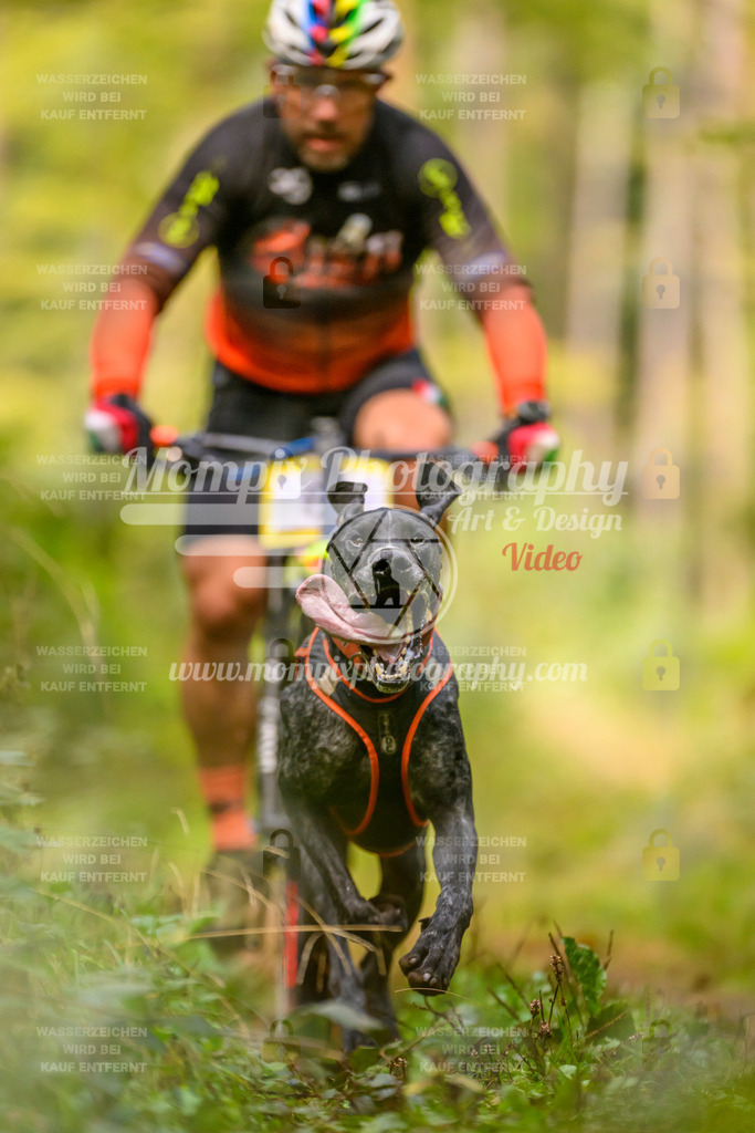 MompixPhotography_Yens2025_B2-16 | PayLife
