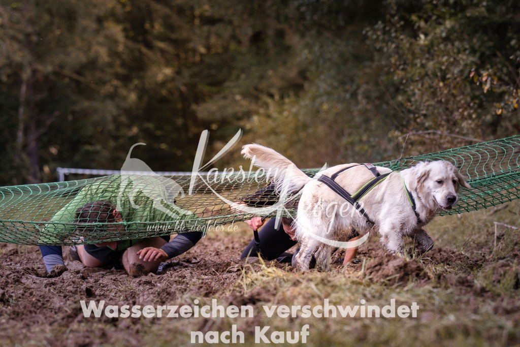 1218_ZZ93477 | kk-dogfotos