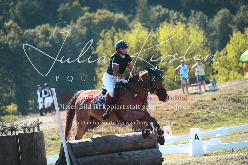 DSC_8028 | Pferde- und Turnierfotografie in Westsachsen. Pferdeportraits, Auftragszeichnungen und intuitive Kunst.