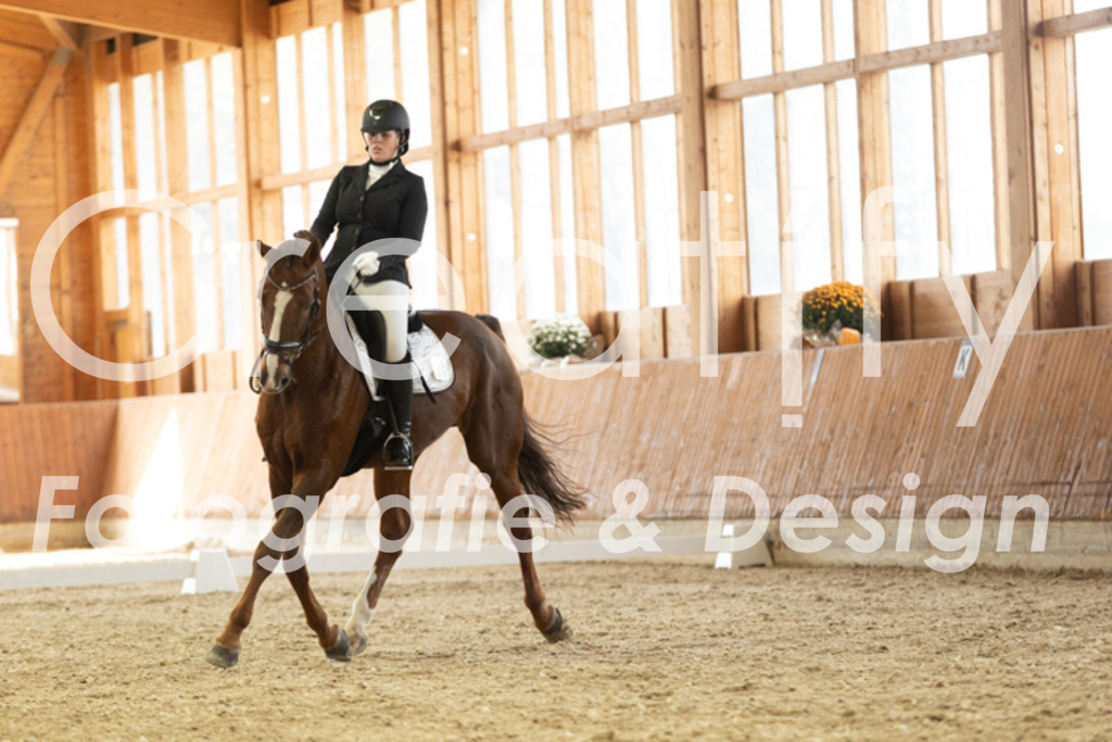 IMG_2809 | Creatify Fotografie