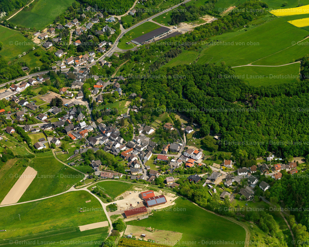 3102589 | Schalkenbach