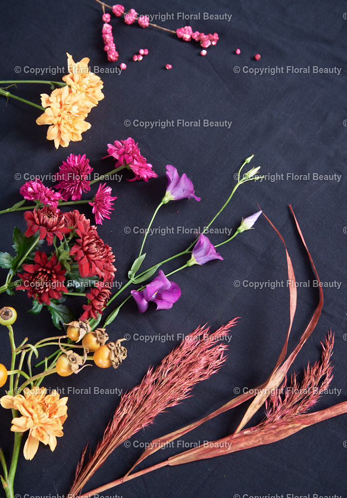 Bunte Blüten auf schwarzem Stoff gelegt | Chrysanthemen, Lisianthus und Pampasgras auf dunklem Stoff gelegt - Realisiert mit Pictrs.com