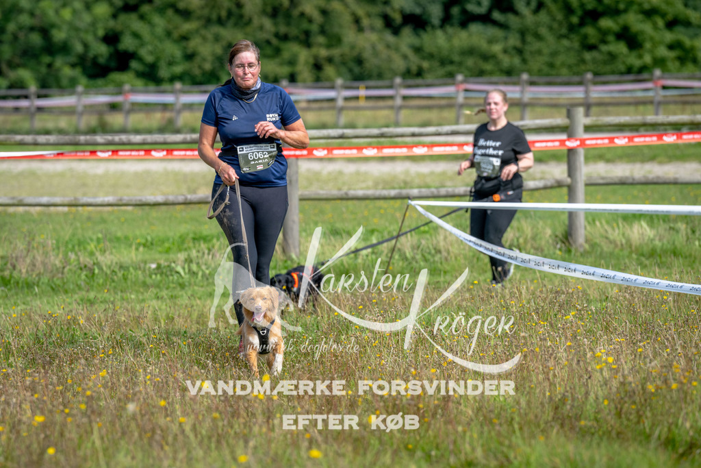 1216_ZZ93253 | kk-dogfotos