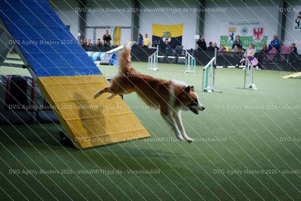 allesWIRTHgut_Tierfotografie-DVG_Agility_Masters_2026-12_43-7R502799 | Professionelle Tierfotografie in Mönchengladbach von Daniel Wirth (allesWIRTHgut). Liebevolle & natürliche Bilder von Hunden & Katzen für unvergessliche Erinnerungen.