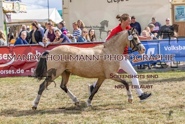 Wel (118 von 433) | mandyhollmannphotographie
