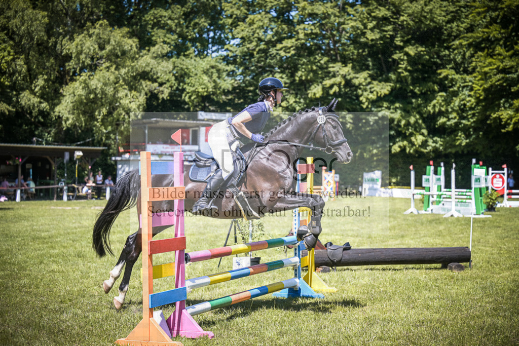 DOS_4310 | Entdecke hochwertige Reitturnierfotos von Foto Oger. Professionell, emotional und authentisch – jetzt Lieblingsmomente im Shop bestellen.Deutschlandweite Turnierfotografie. - Realisiert mit Pictrs.com